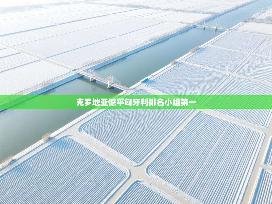 克罗地亚憾平匈牙利排名小组第一  第2张